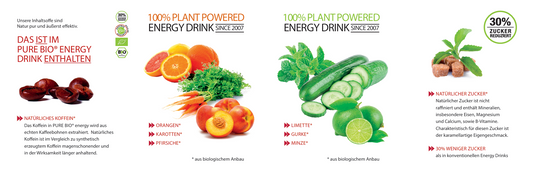 PURE-BIO® Energy Drink Probierpaket 6x250ml / 6 Dosen