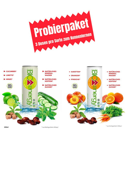 PURE-BIO® Energy Drink Probierpaket 6x250ml / 6 Dosen